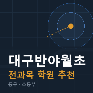 대구반야월초 전과목 학원 안내