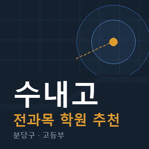 수내고 전과목 학원 안내